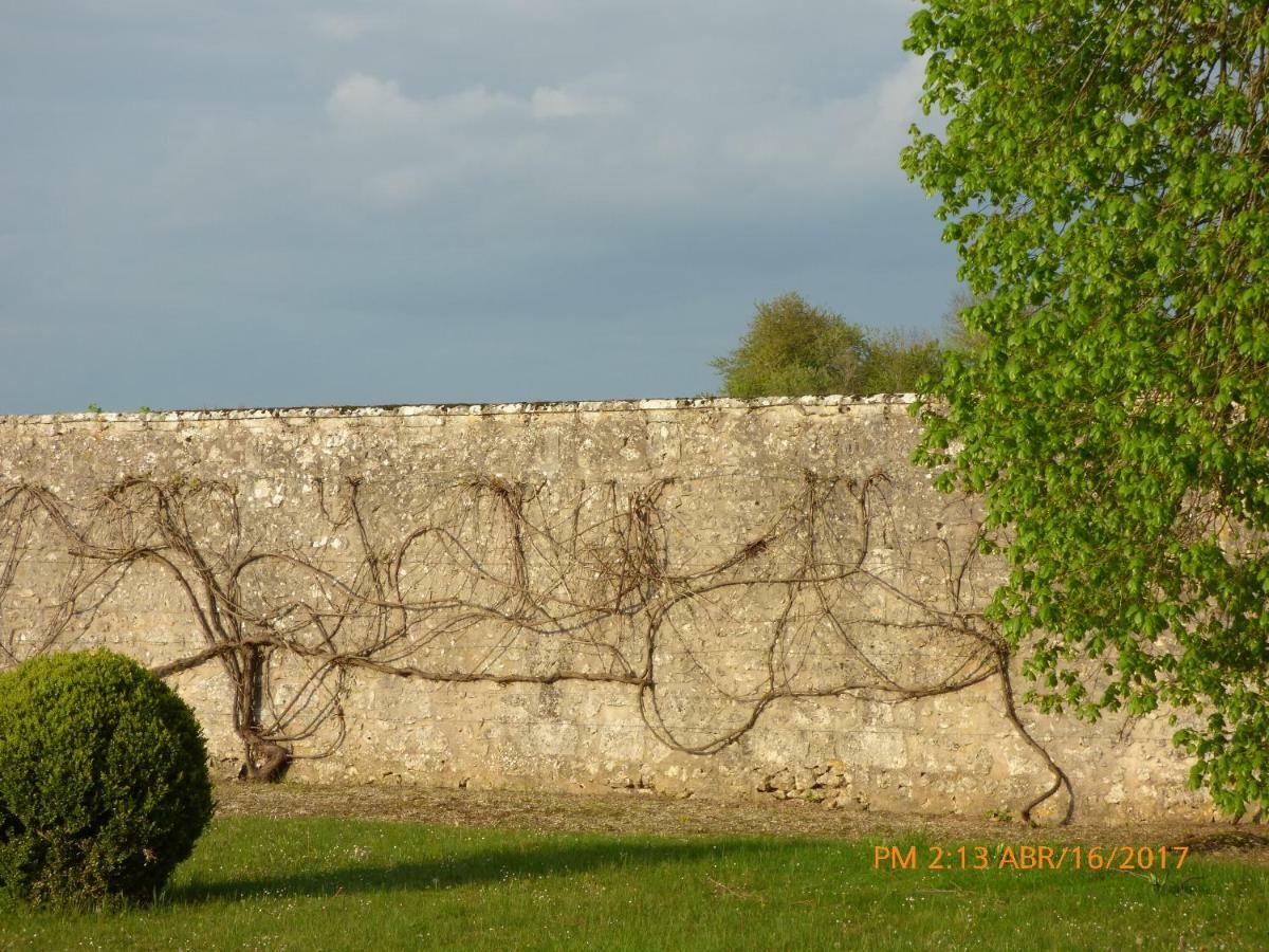Chateau De Montrame Soisy-Bouy Екстер'єр фото