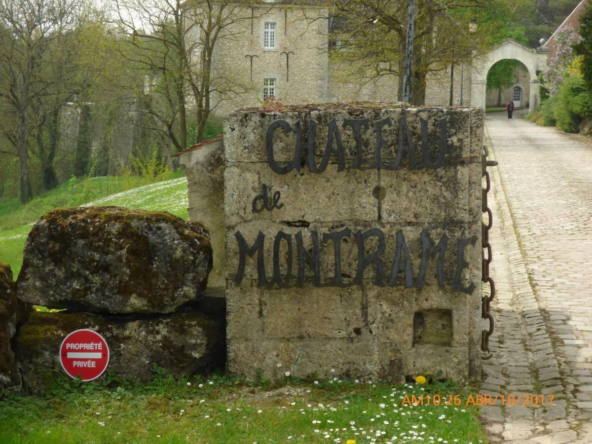 Chateau De Montrame Soisy-Bouy Екстер'єр фото