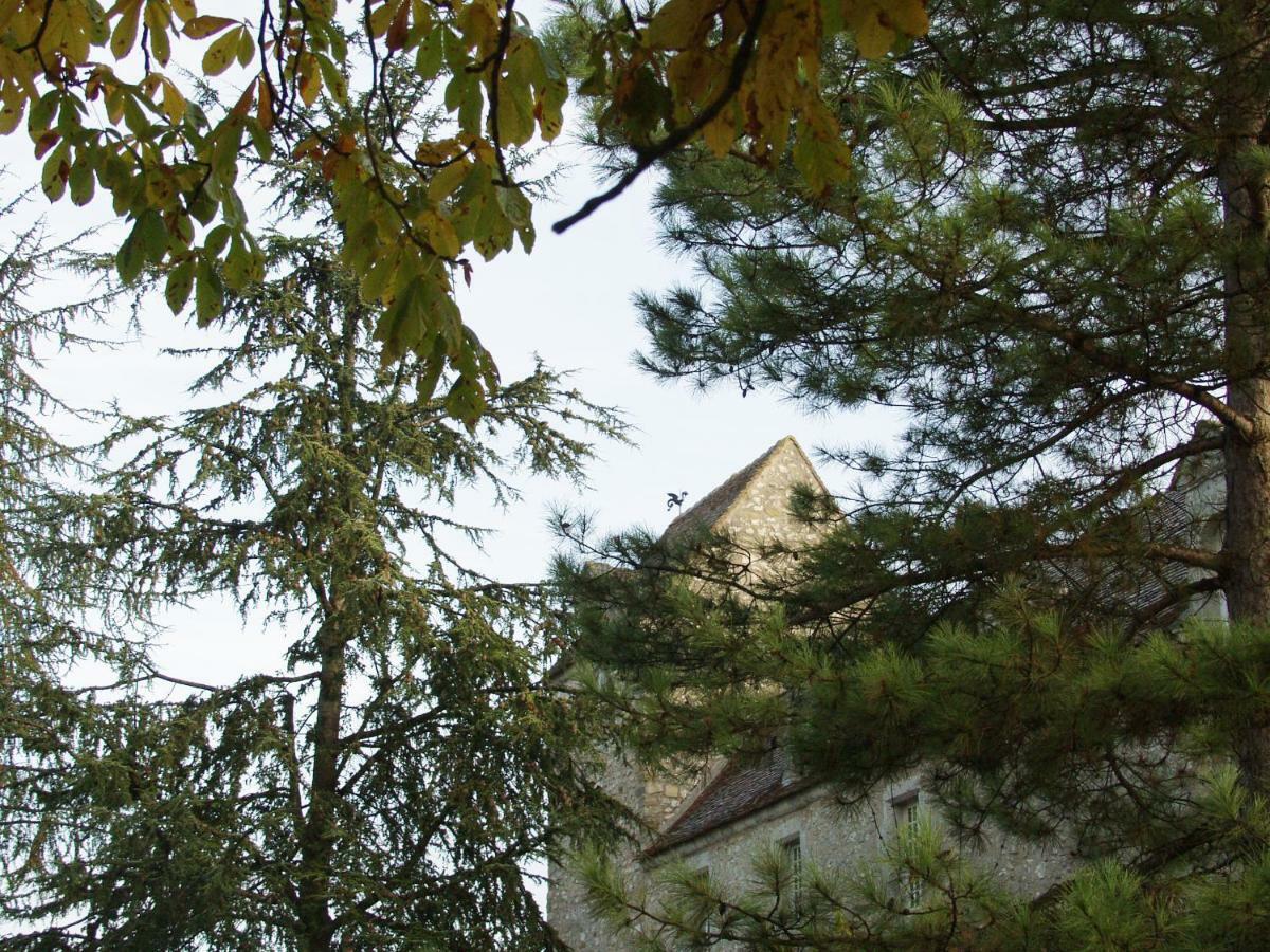 Chateau De Montrame Soisy-Bouy Екстер'єр фото