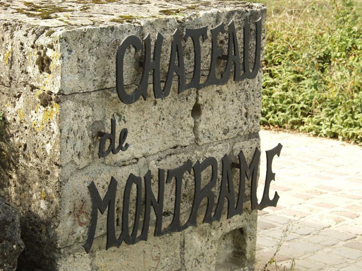 Chateau De Montrame Soisy-Bouy Екстер'єр фото